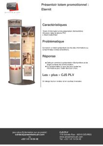 Eternit Totem